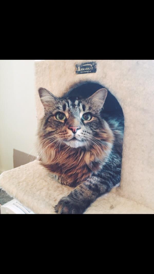 /Images/uploads/Humane Society of Utah/HSUCalendar/entries/738thumb.jpg